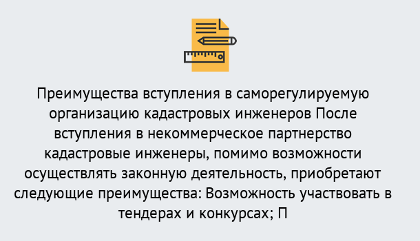 Почему нужно обратиться к нам? Алапаевск Что дает допуск СРО кадастровых инженеров?