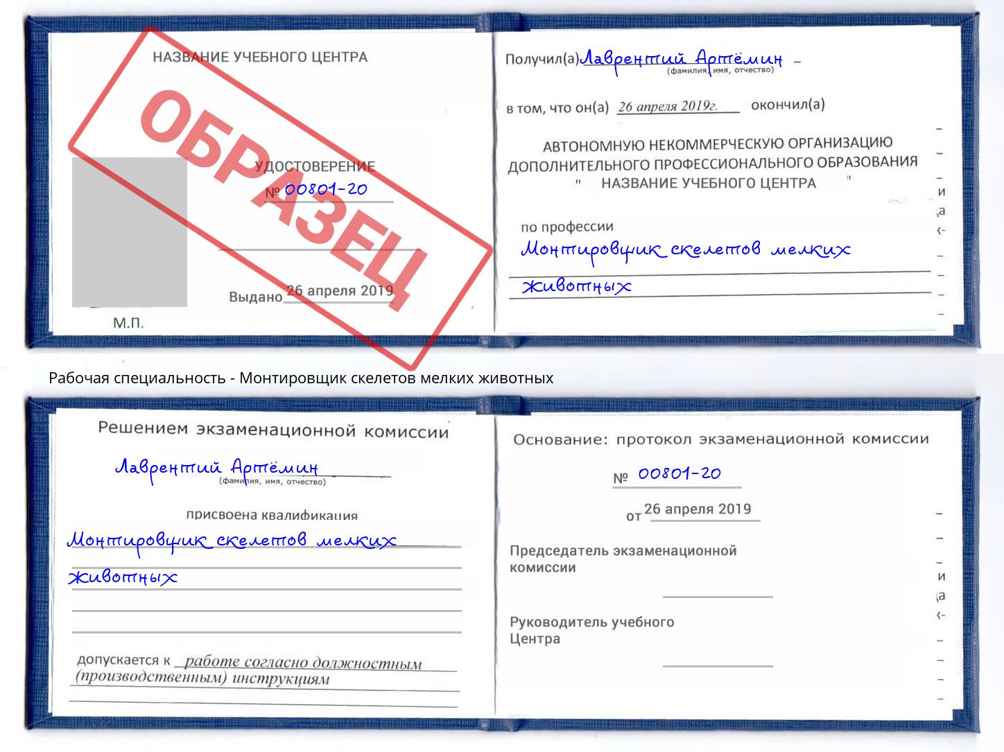 Монтировщик скелетов мелких животных Алапаевск