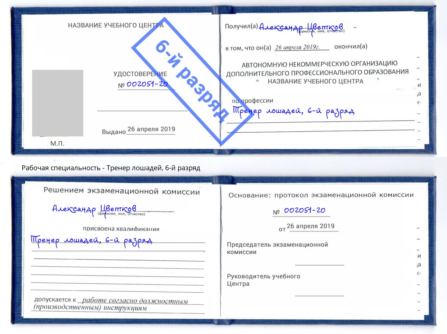 корочка 6-й разряд Тренер лошадей Алапаевск